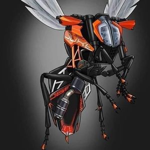 Meet your Posher, Bobby